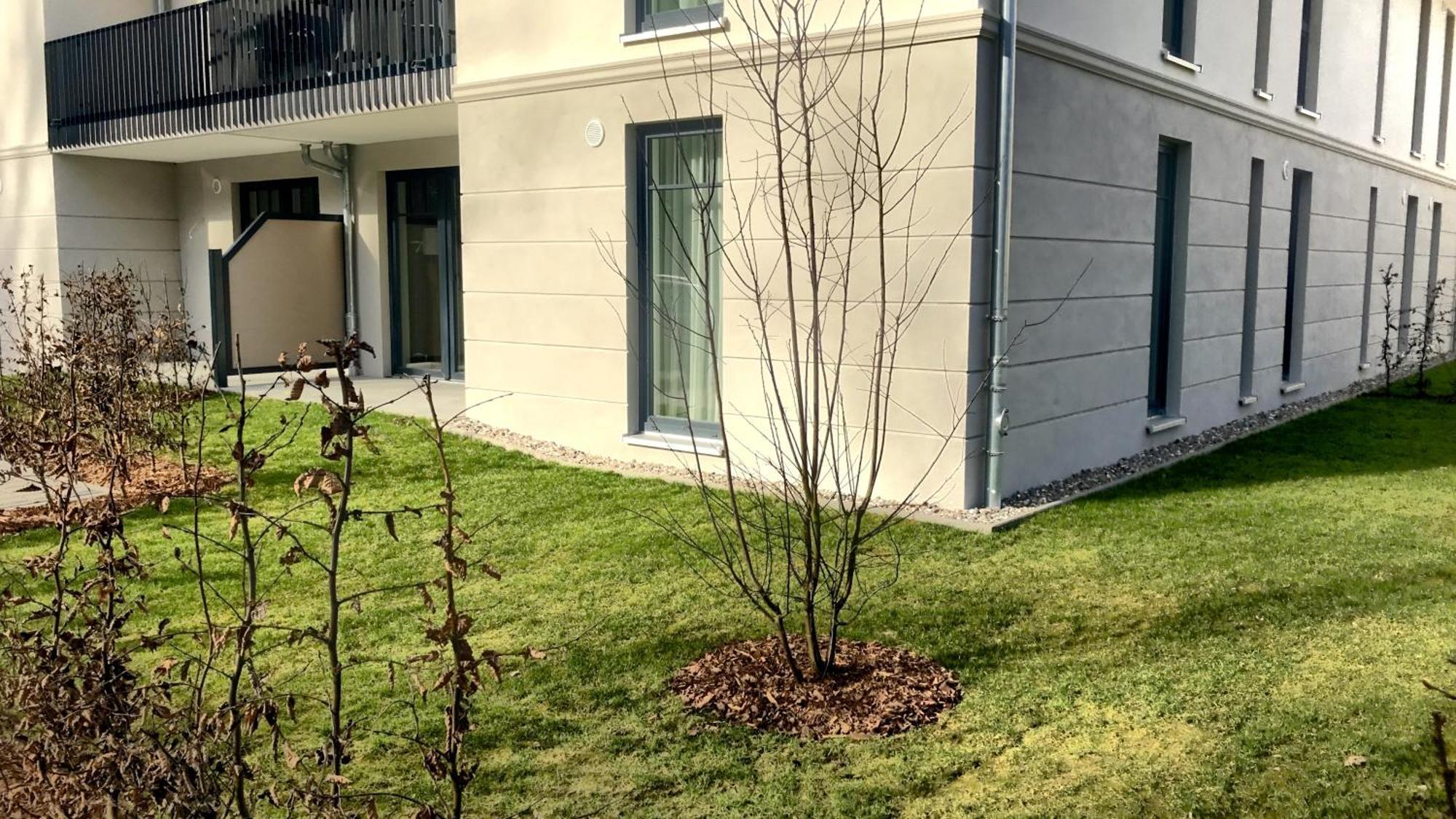 Villa Camenia Ostseebad Kühlungsborn Zimmer foto